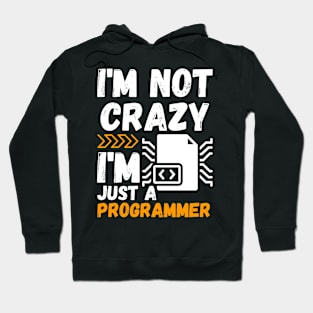 I'm not crazy, I'm just a programmer Hoodie